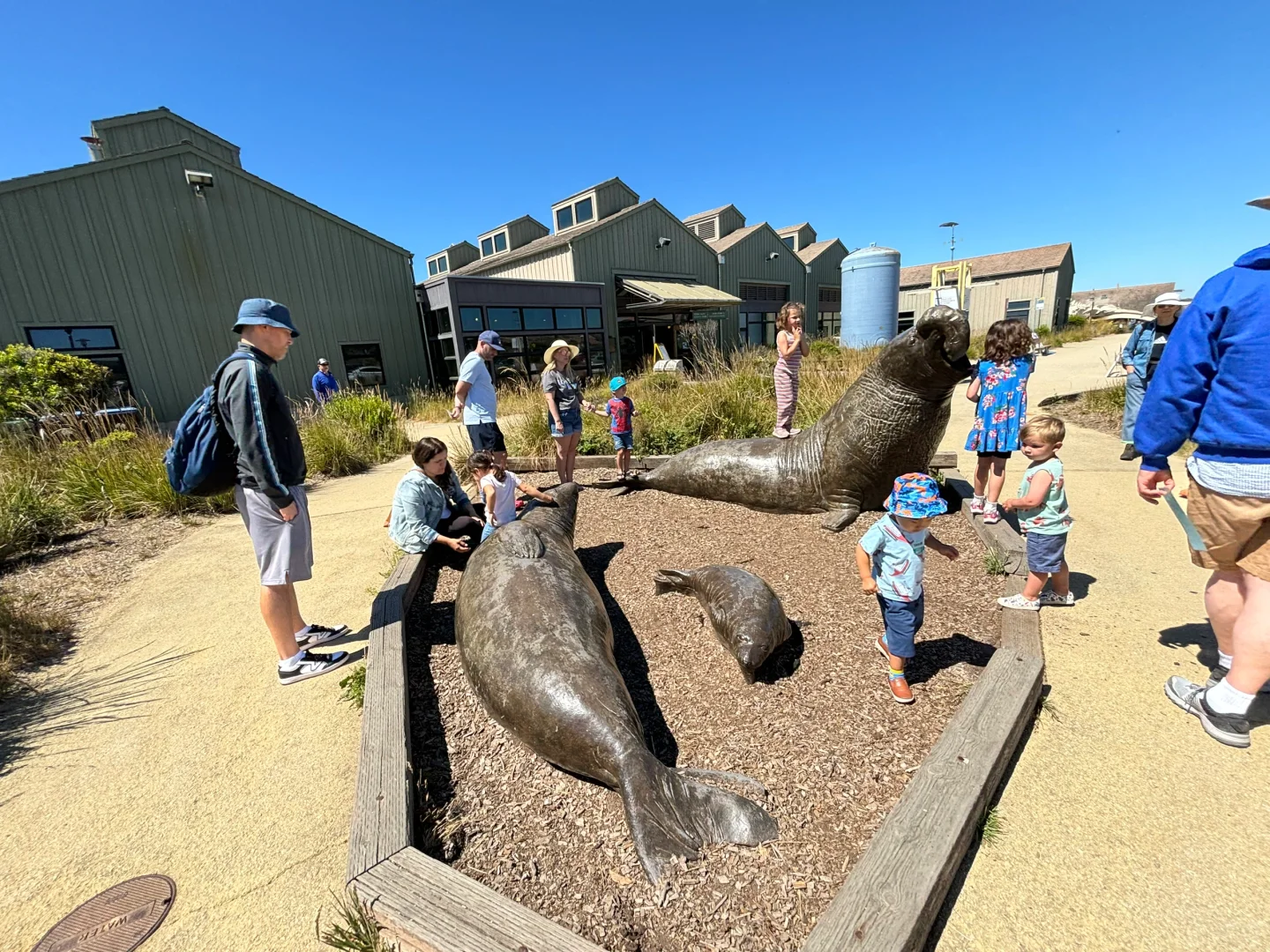 Santa Cruz Marine Center: Where You Can Touch Sharks and Watch Dolphins