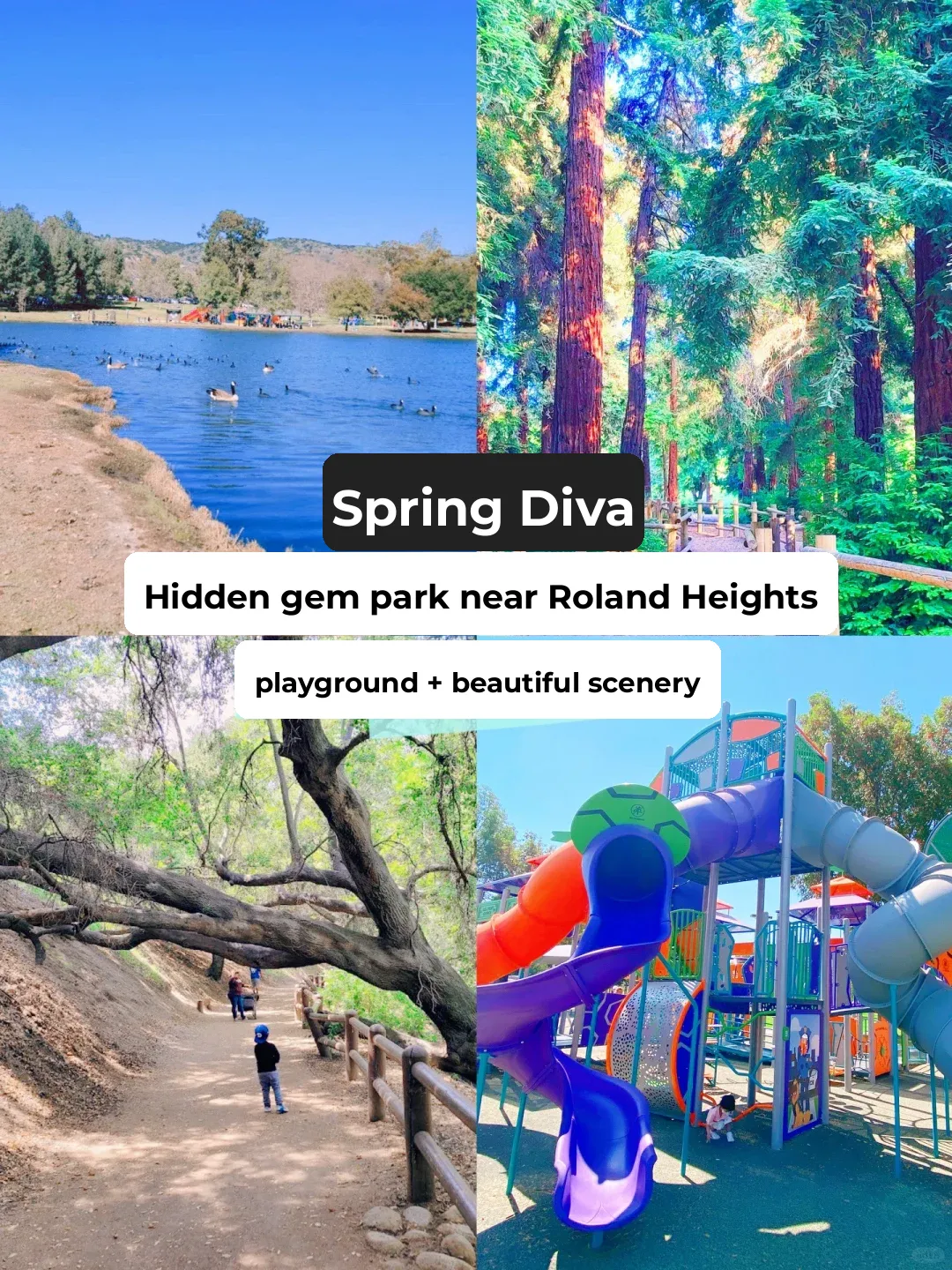 Four Years of Kid-Friendly Adventures: Top Parks Near Rowland Heights