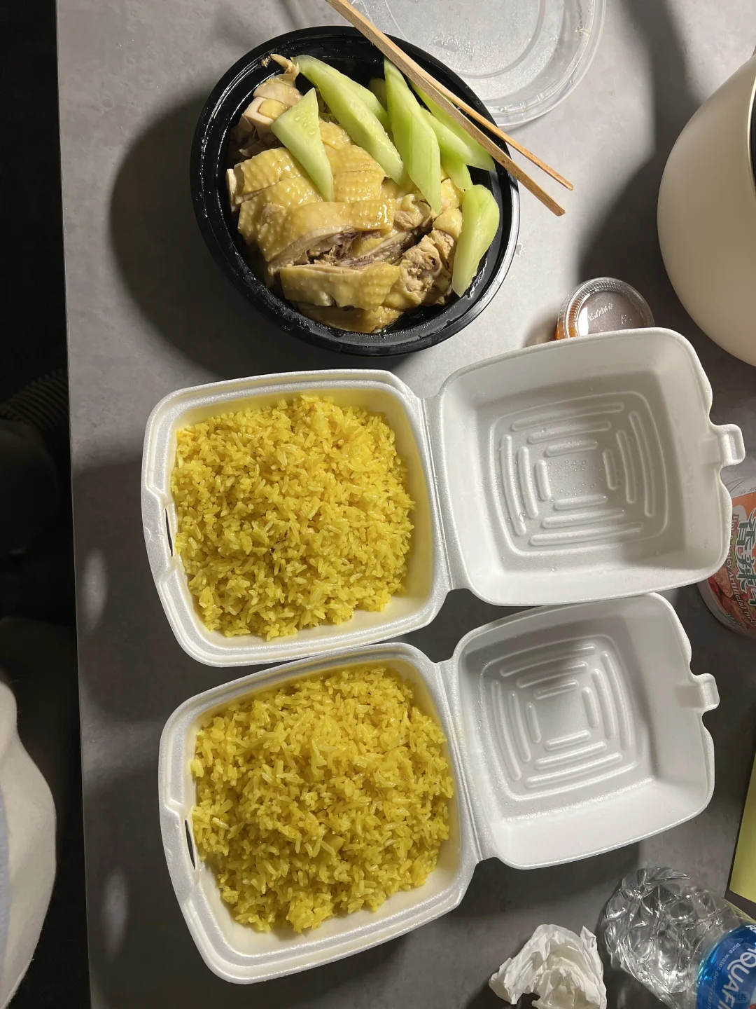 10-Day Road Trip in the Eastern U.S. with My Dog – Day 1