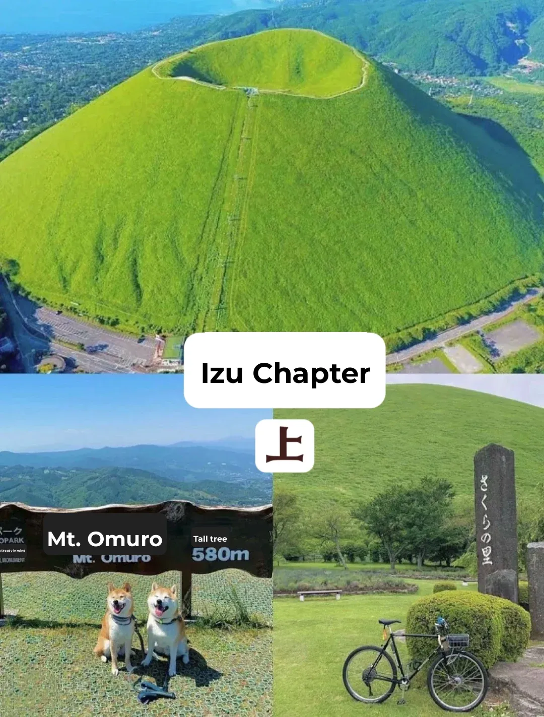 Day Trip from Tokyo: Izu Edition 🍀 Part 1