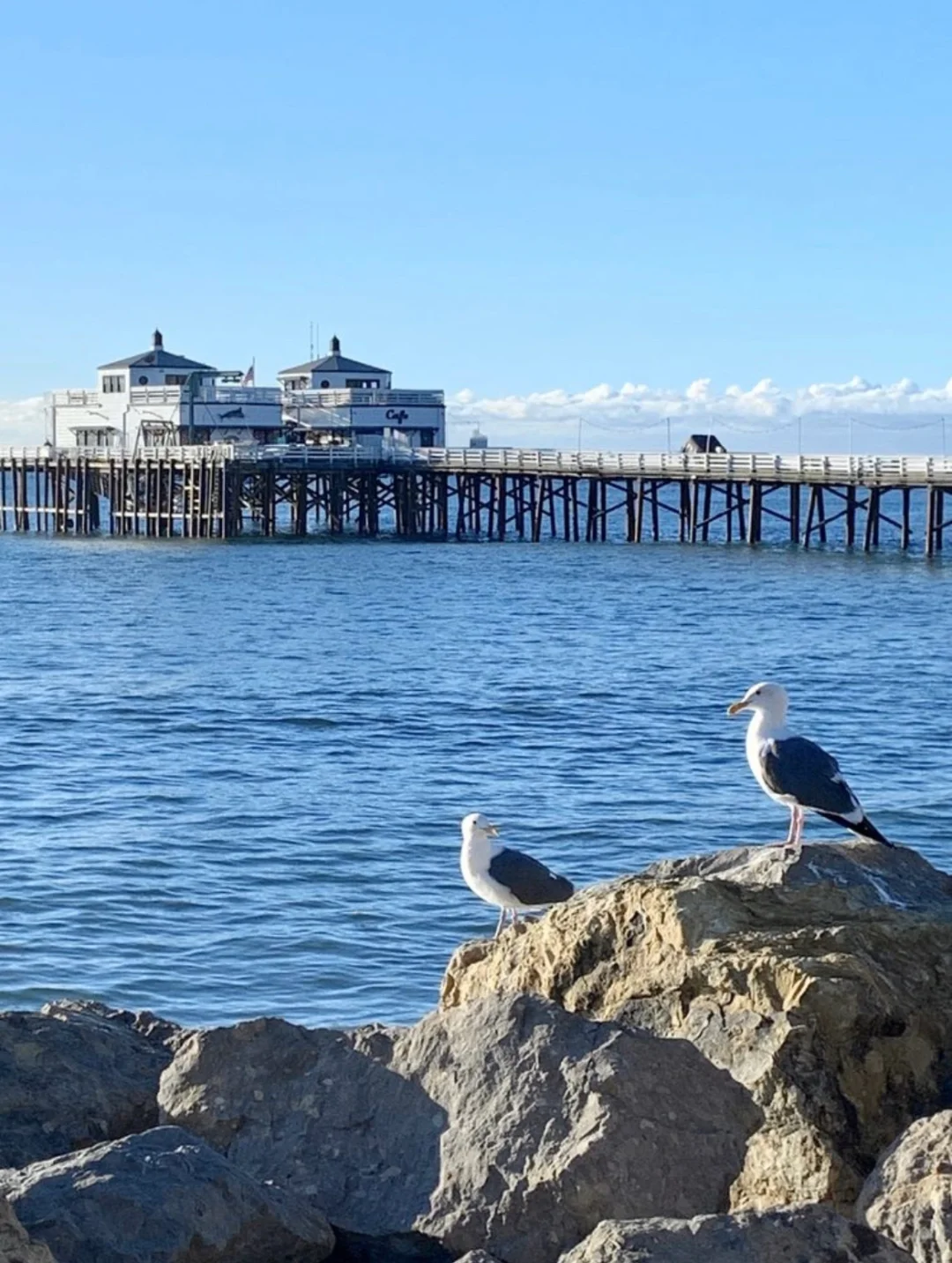 Los Angeles | Top Picks: Malibu Locals' Favorite Eateries