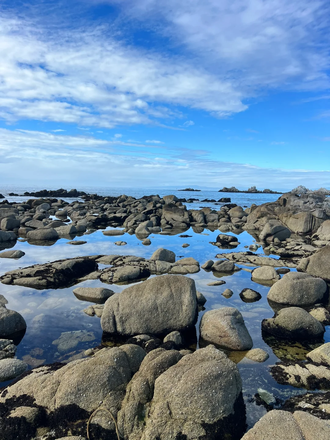 "More Beautiful and Fun Than 17-Mile Drive: The Great Tide Pool"