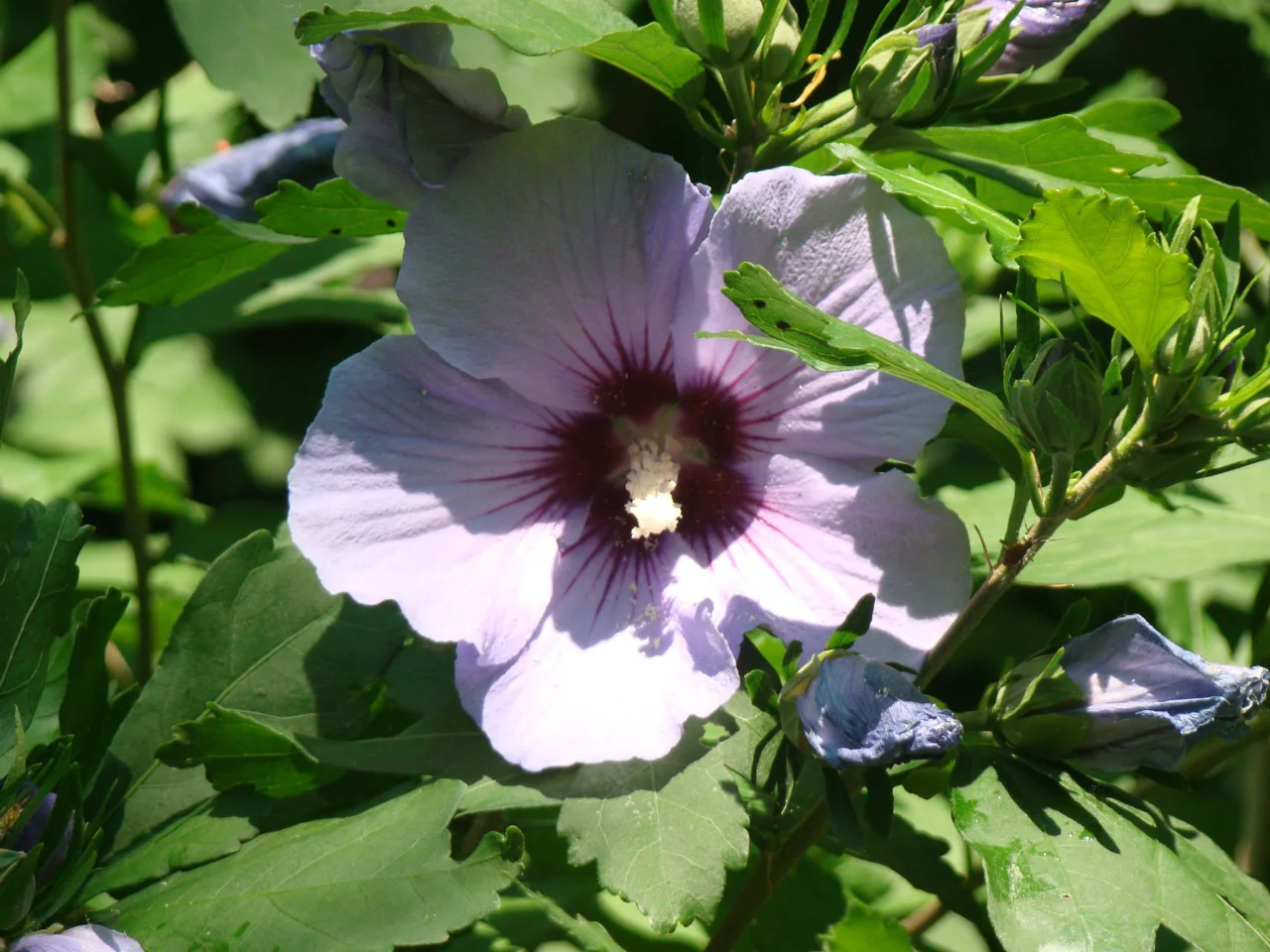 Lauritzen Gardens in Nebraska
