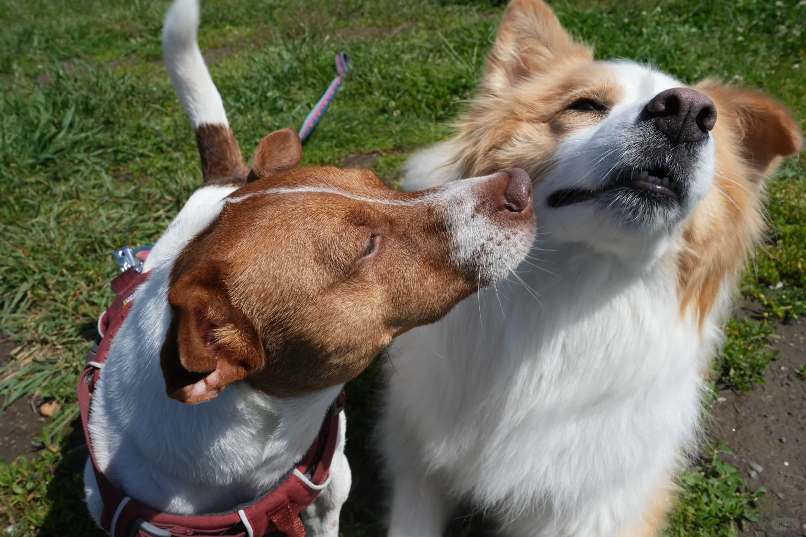 2-Day Relaxed & Complete Travel Guide to Portland, Oregon