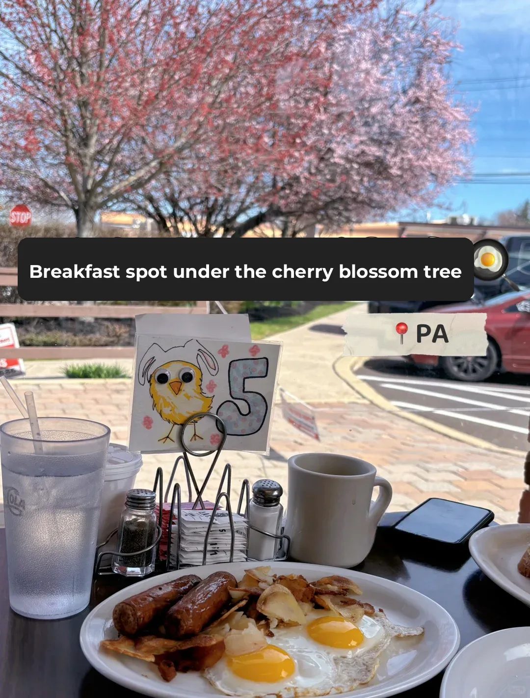Philadelphia Area | Enjoying Brunch Under the Cherry Blossoms 🍳