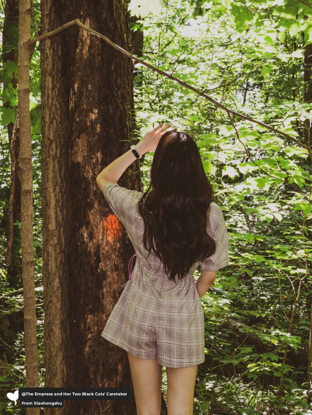 Great Weekend Hiking Spots 🍃🌳🌿