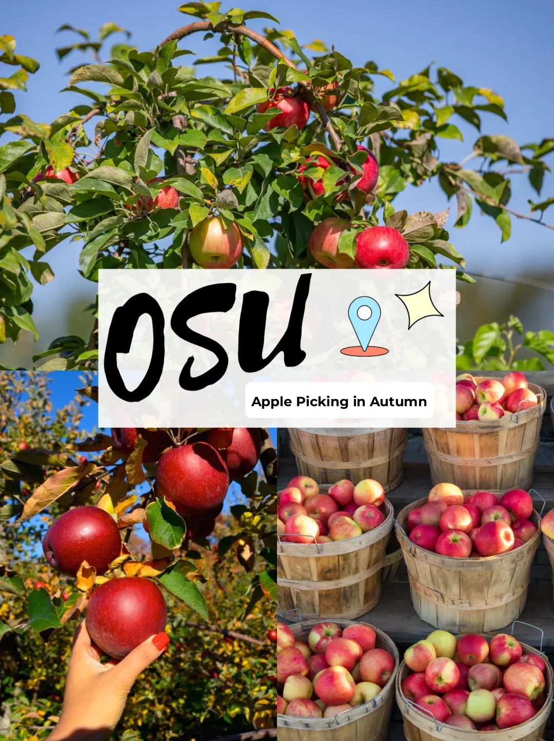 OSU｜First Stop of Autumn—Apple Picking🍎