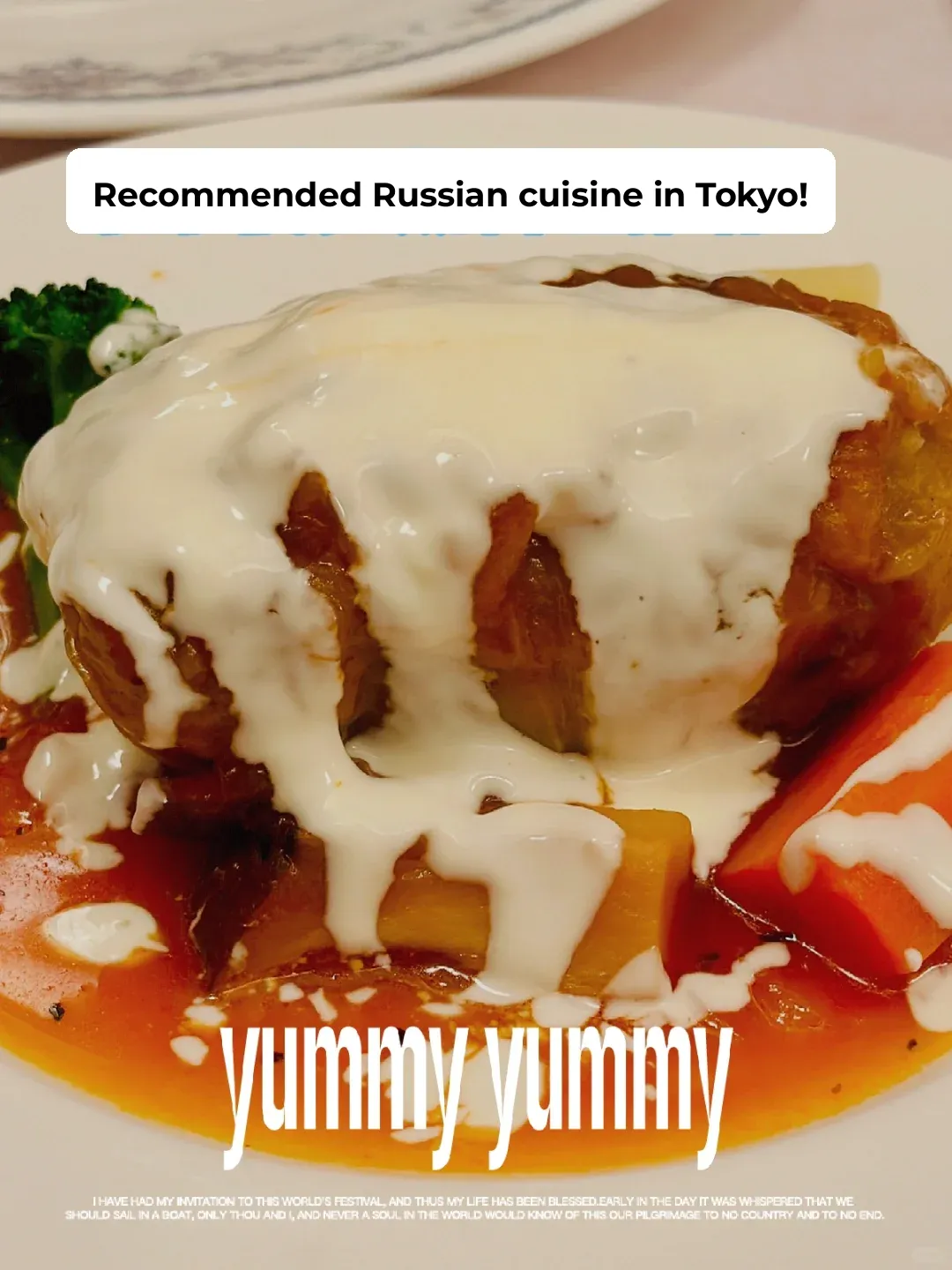 💖 Shin-Ochanomizu, Tokyo | Must-Try Russian Cuisine in Tokyo 🇷🇺