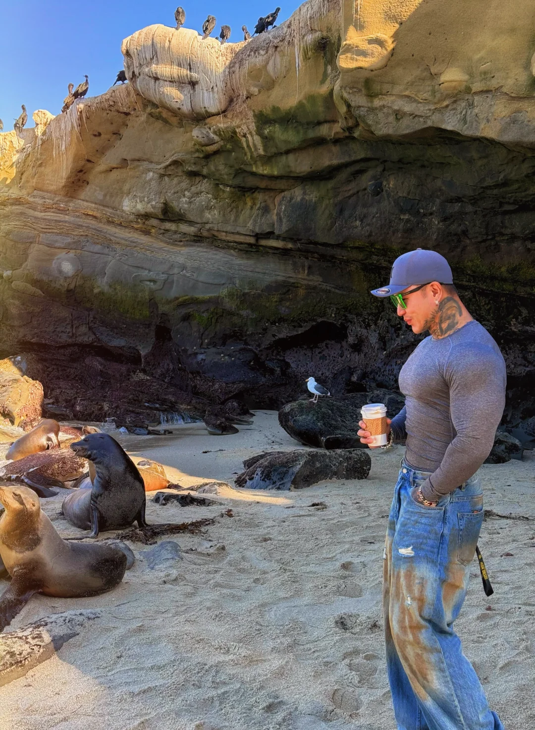 Most Beautiful Beach in San Diego: La Jolla Cove 🏝️