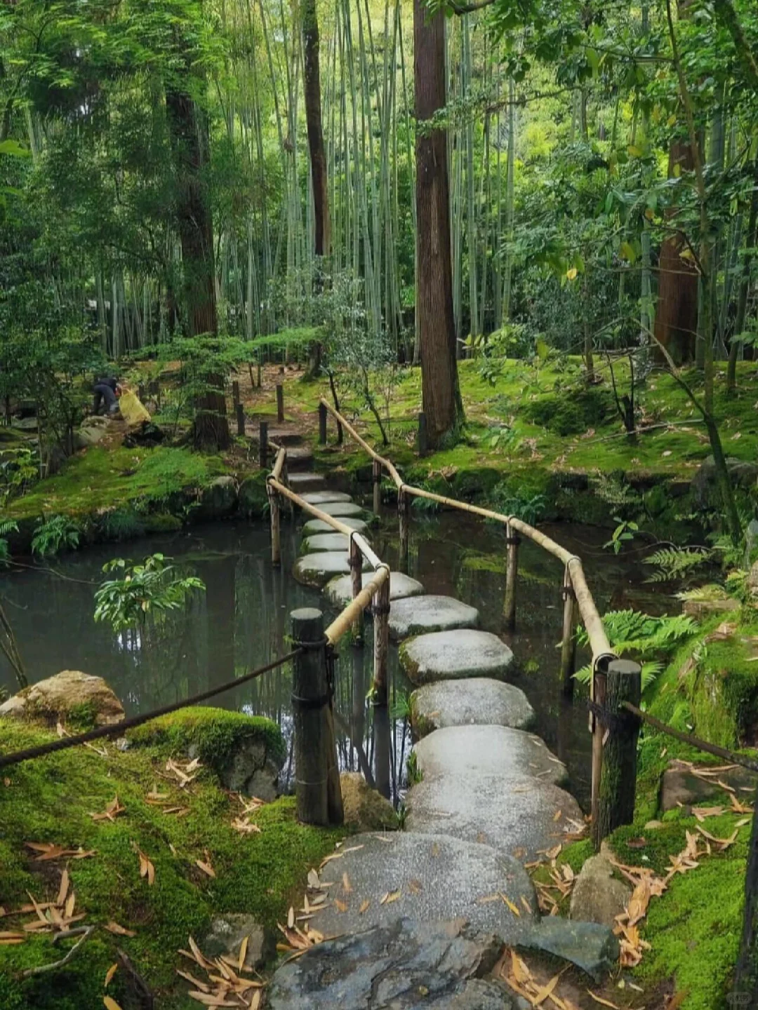 Kyoto, Japan | 9 Must-Visit Temple Gardens This Summer