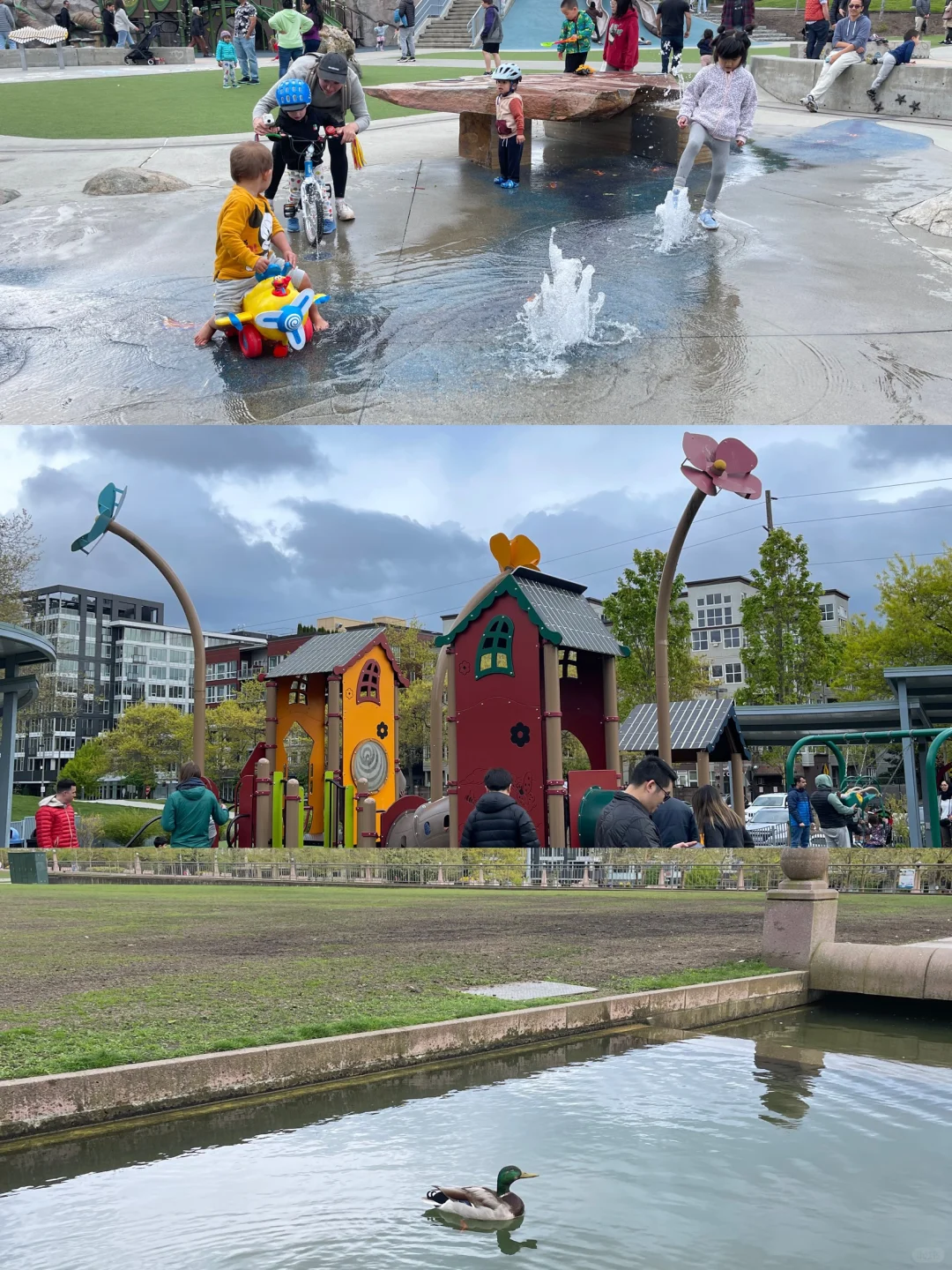 Seattle with Kids: 10 Fun Activities for Family Adventures