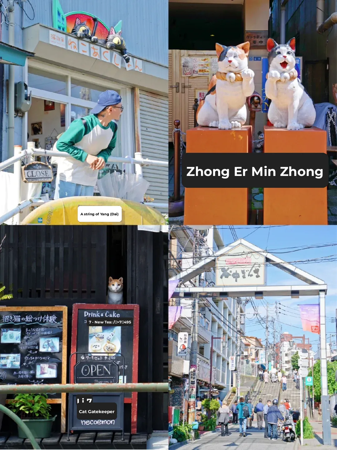 Tokyo Travels | Skip Ginza and Shibuya, I Prefer This Niche Cat Street