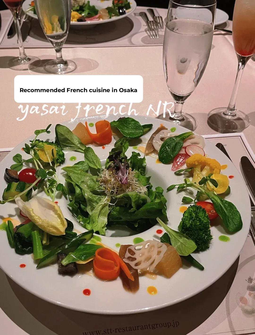 Exploring Osaka's Culinary Scene: Yasai French at Umeda's NR