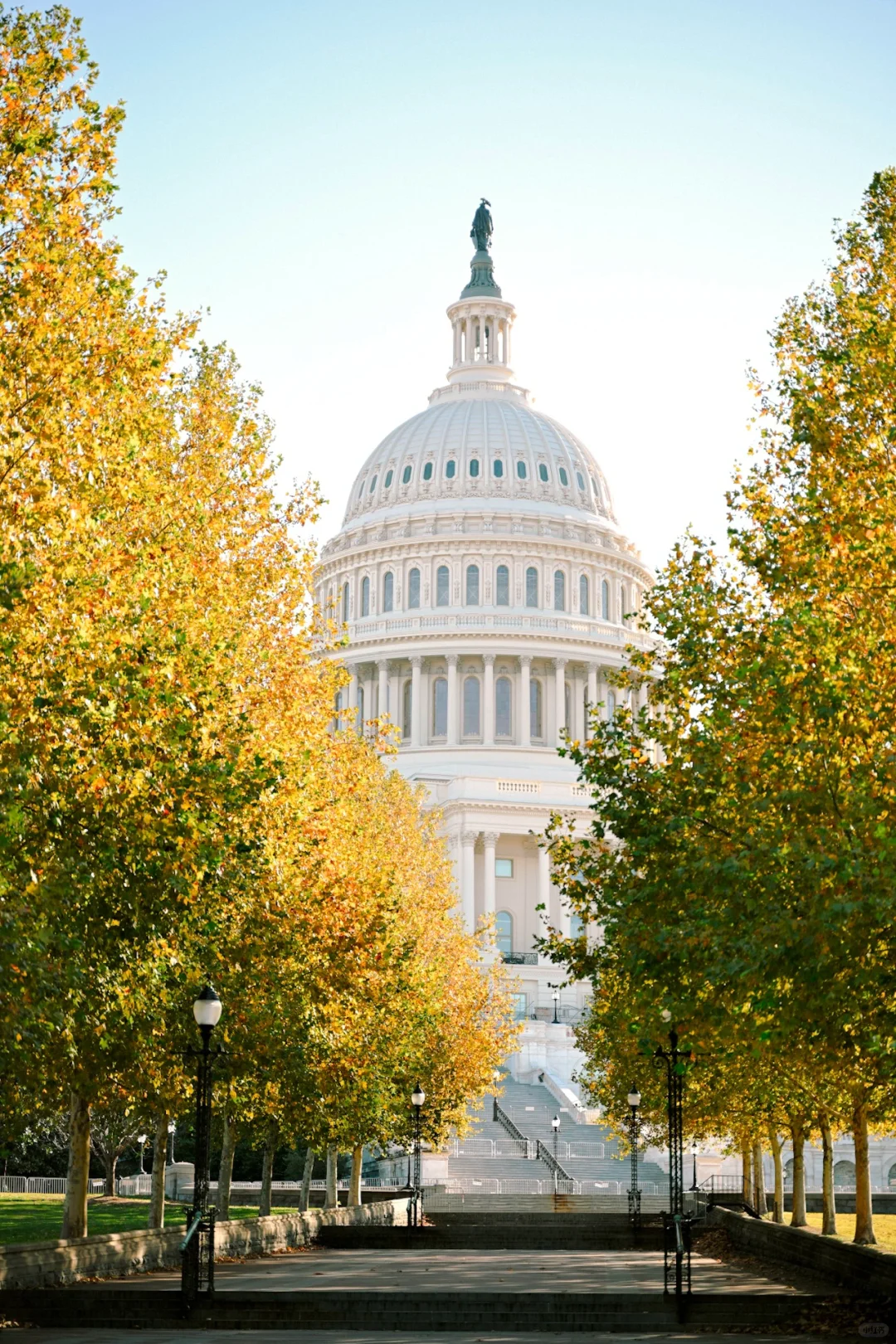 Lucky friends traveling to DC recently!