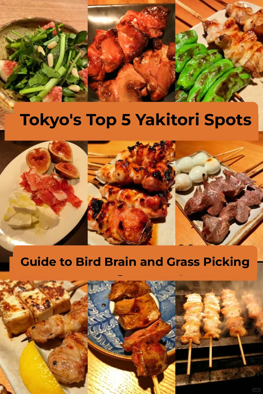 "Take My Word for It! These Five Yakitori Spots in Tokyo Are All You Need!"