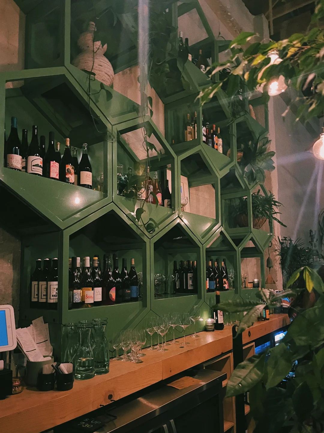 Hidden Gem Wine Bar in the Bay Area｜Sipping Wine Amidst Lush Greenery