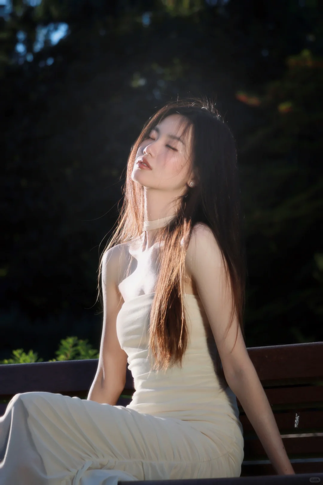 Seattle Rose Garden | She Walks in Light