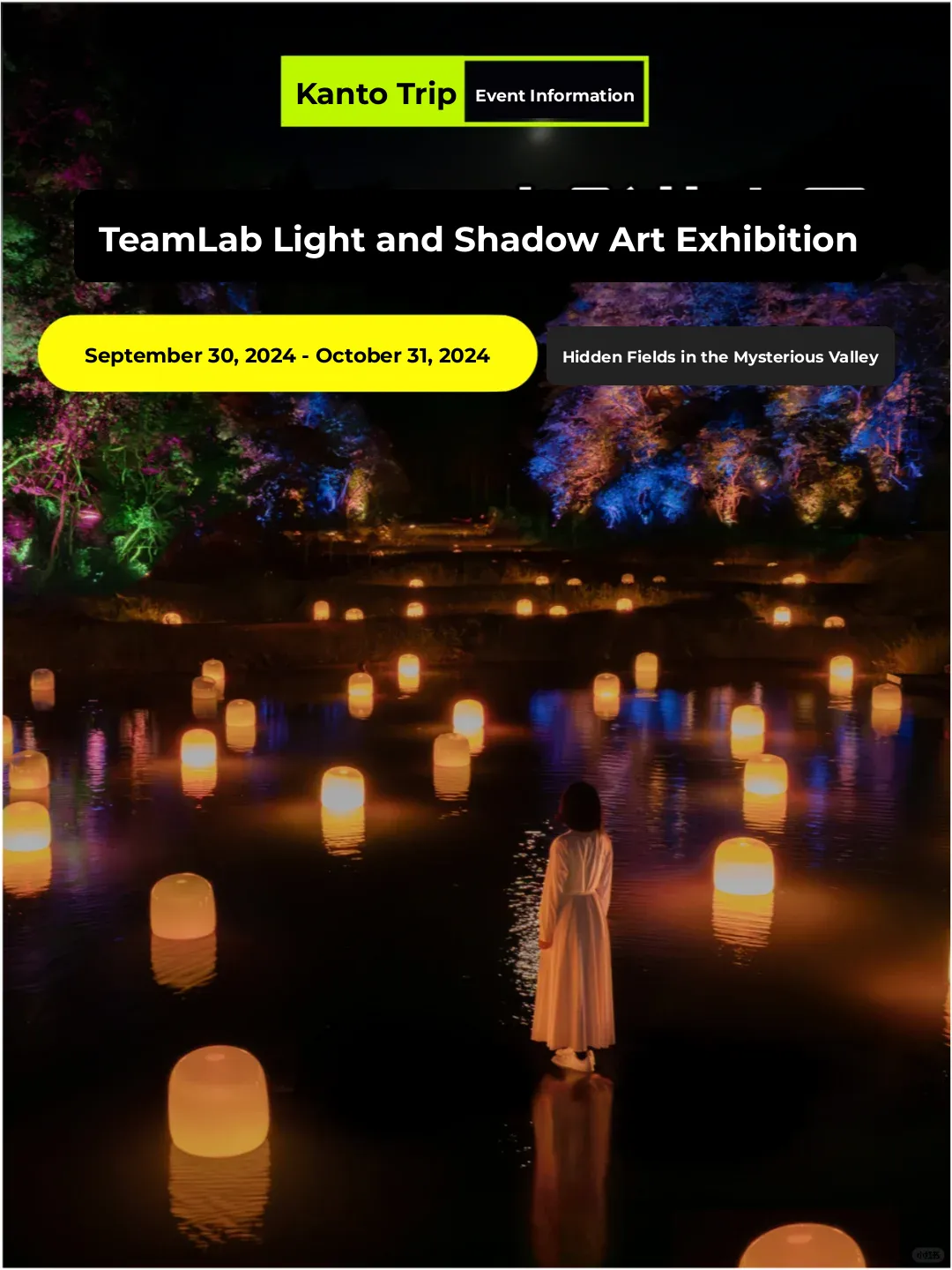 teamLab's New Japanese Art Exhibition is Seriously Next-Level…