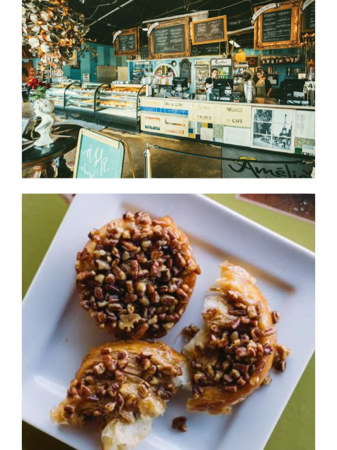 Must-Eat in Charlotte, NC❗️ A Treasure Trove of Charlotte's Best Restaurants