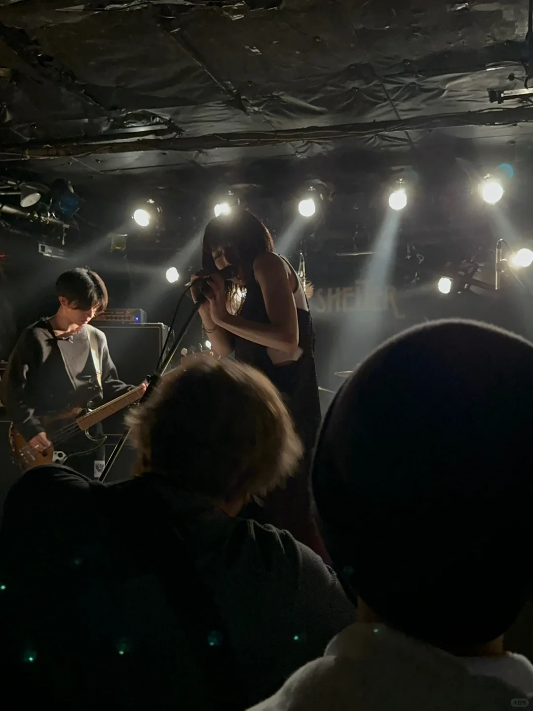 💙｜Tonight, Come to Shimokitazawa Shelter to See Blume Popo