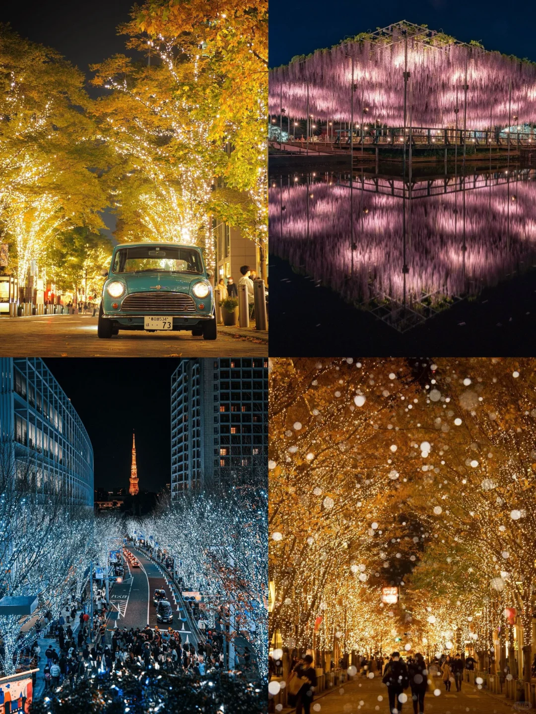 Tokyo 2024 Christmas 🎄 Light-Up Events | Super Detailed Guide ♥️