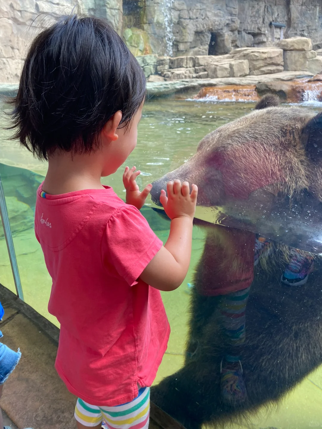 Traveling to St. Louis with Kids in Late August - Part 1