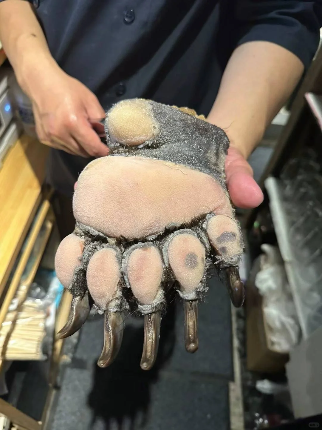 Mind-blowing! Tokyo's Exclusive Bear Paw Feast for Just ¥2000+ Per Person, One Table Per Day Only