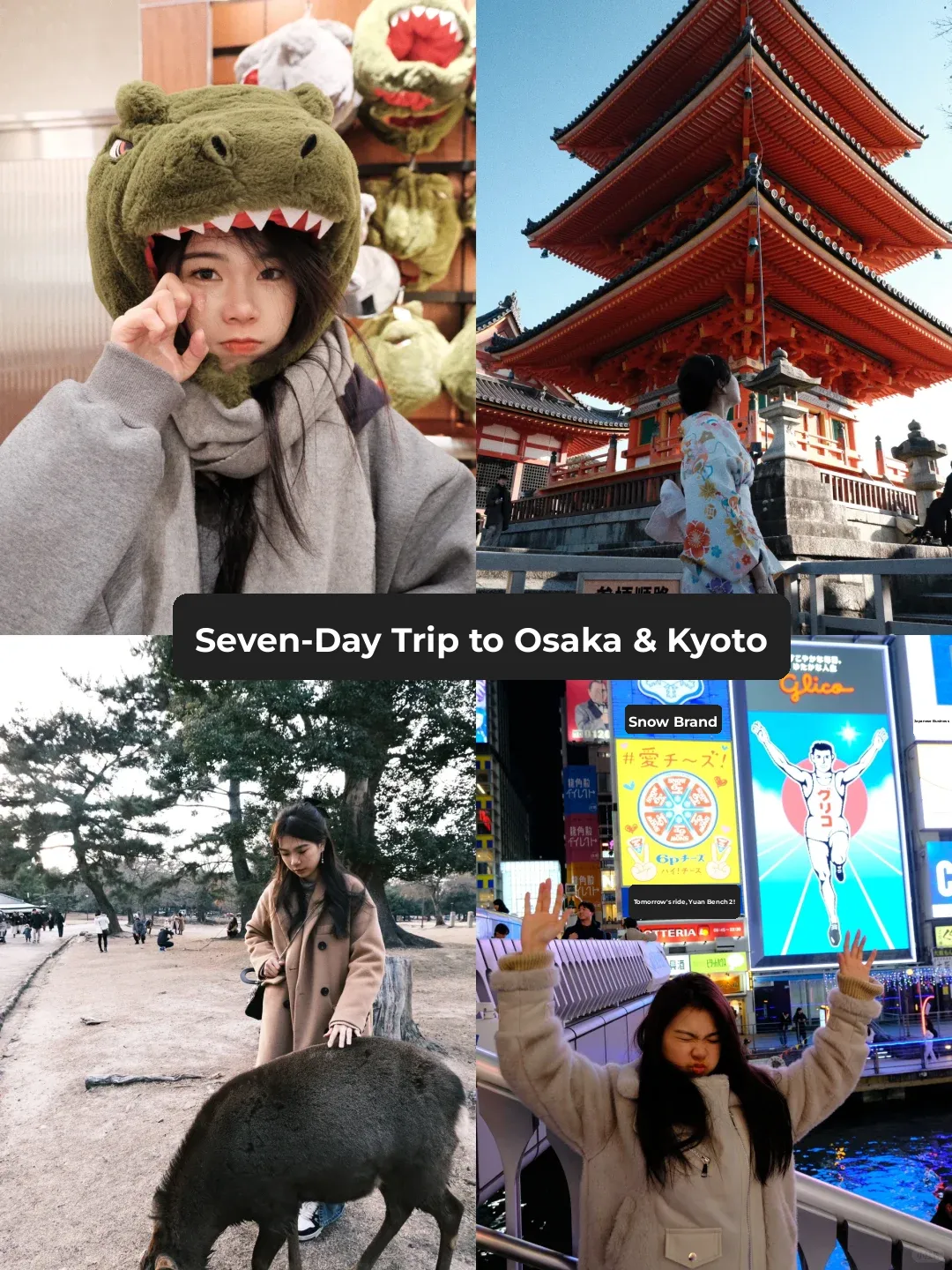 7-Day Kansai Adventure 🇯🇵