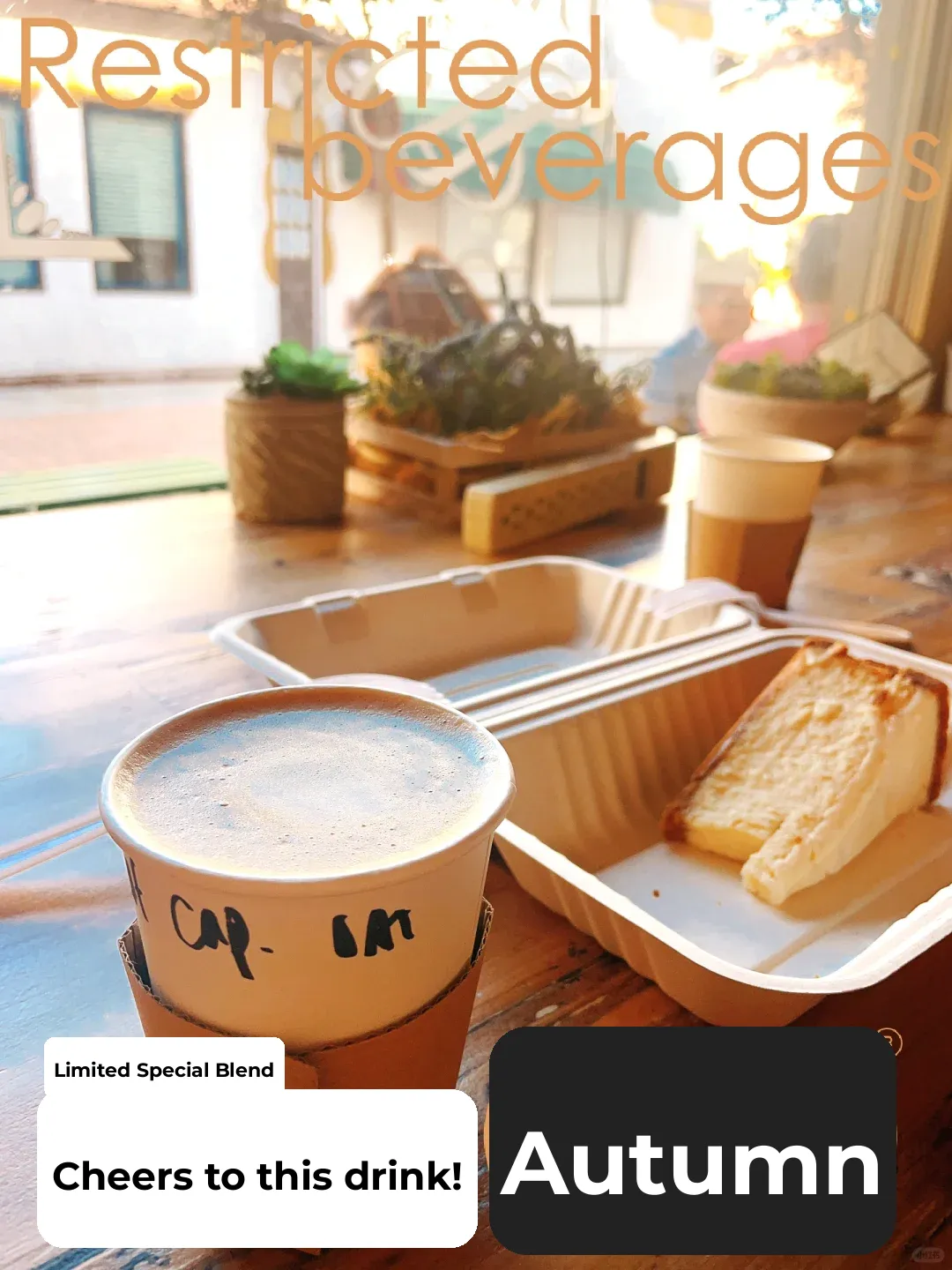 Around San Diego | A Hidden Gem Coffee Shop in a Quaint German Town