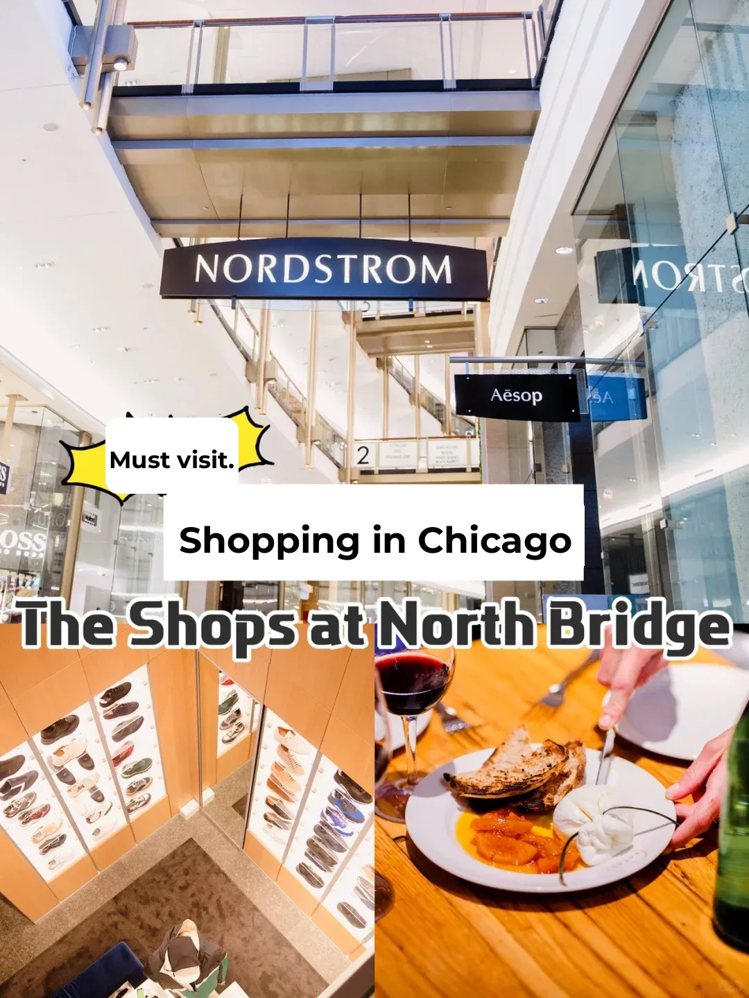 "Must-Visit Shopping Destinations in Chicago: The Ultimate Guide to Michigan Avenue's Best Malls"
