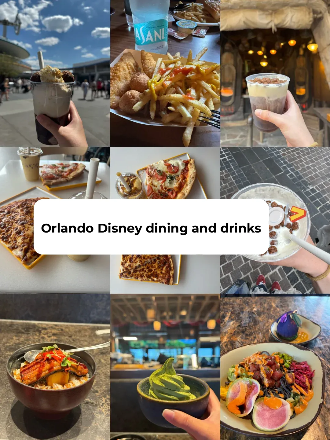 Orlando Disney Food & Drink Guide!