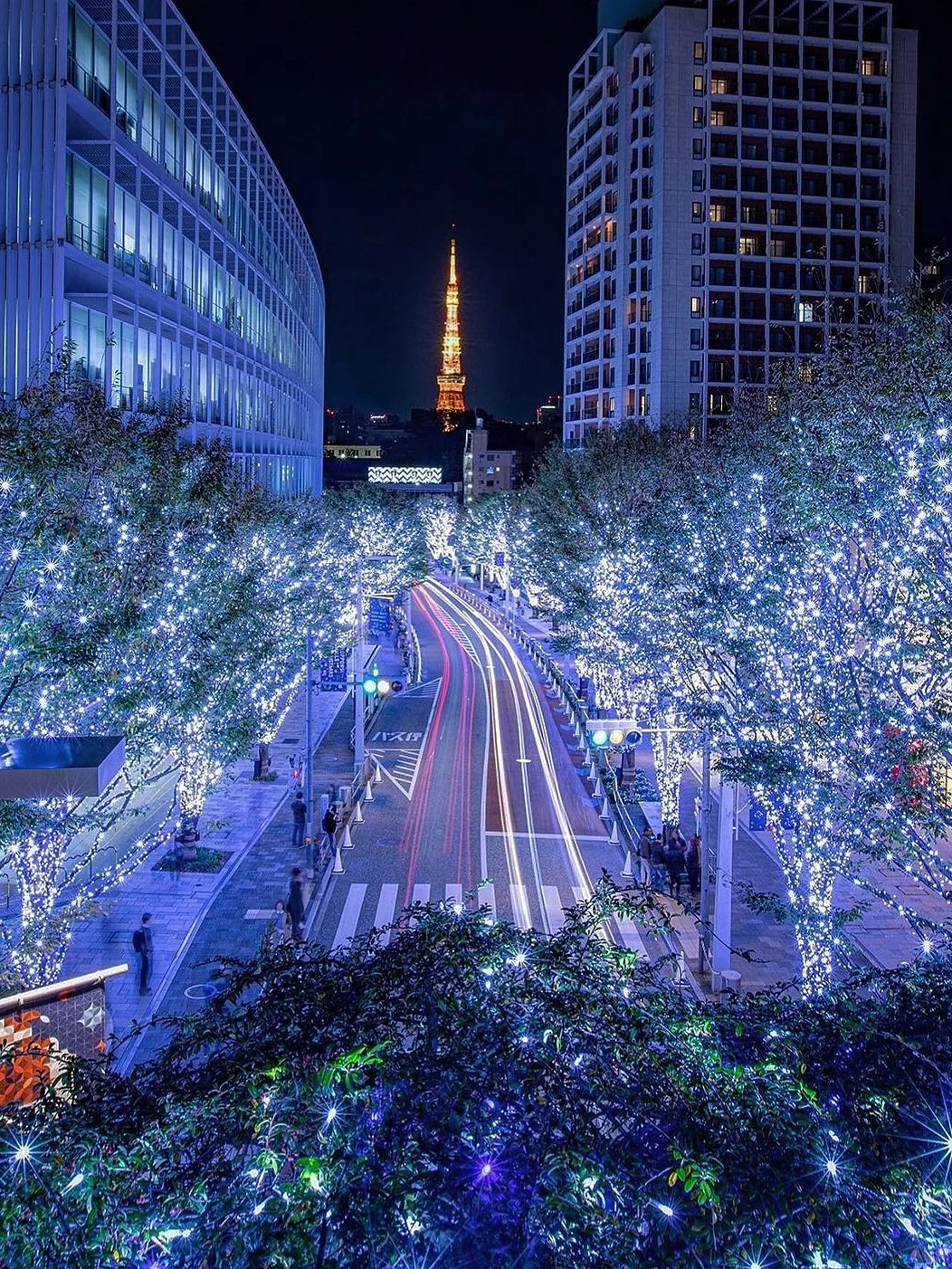 Roppongi ⛄️ Christmas Lights Are Seriously Magical ✨