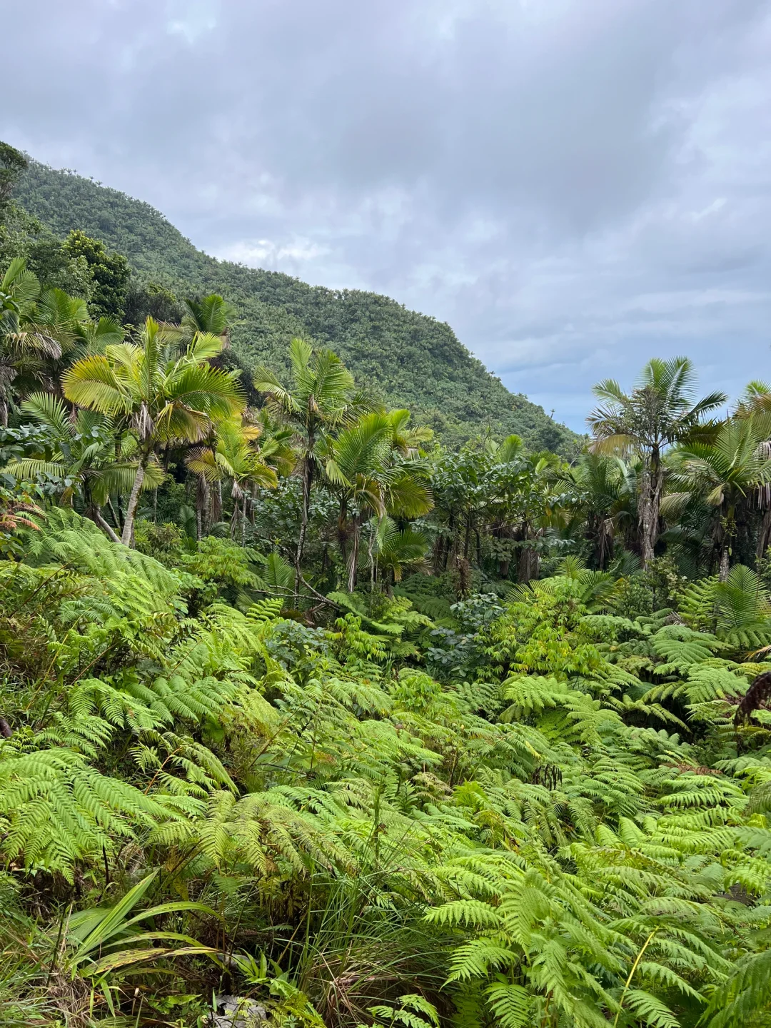 Travel｜Winter 2024 in Puerto Rico 🇵🇷