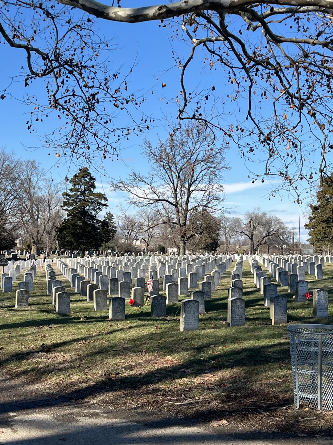 Exploring a New Trail: Strolling Through Public Cemeteries