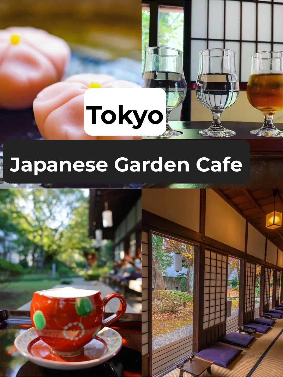 Tokyo Ueno | Hidden Gem: A Charming Japanese-Style Tea House