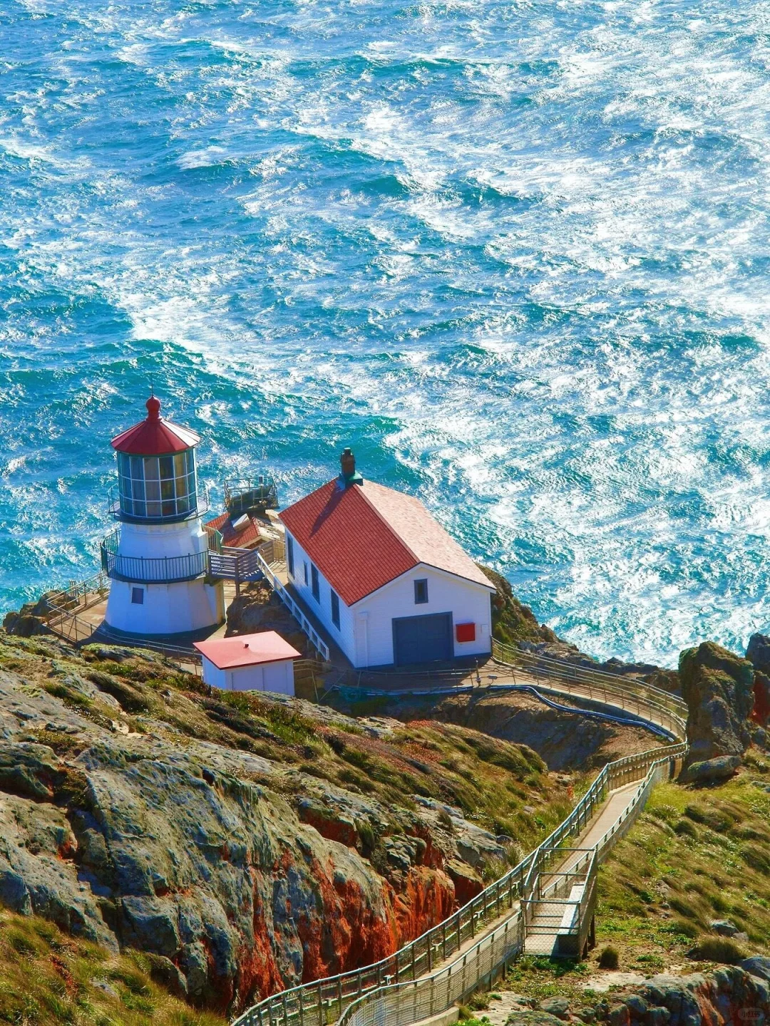 "Before Leaving San Francisco, You Must Visit Point Reyes at Least Once!"