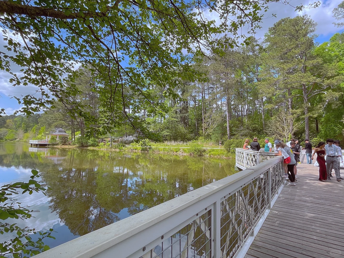 Vines Park | Recommended Parks in Atlanta