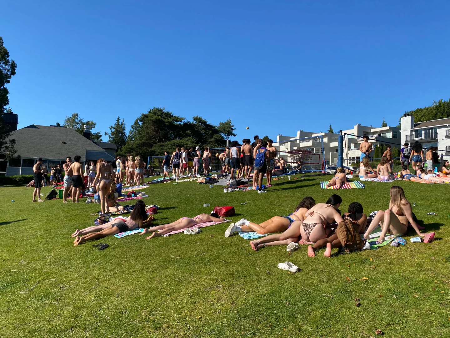 Summer in Seattle: The Grasslands Are Covered with People