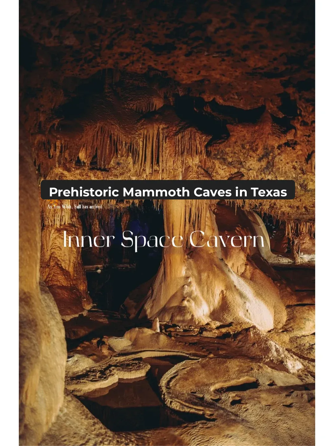Austin | The Prehistoric Animal-Inhabited Cave - Inner Space