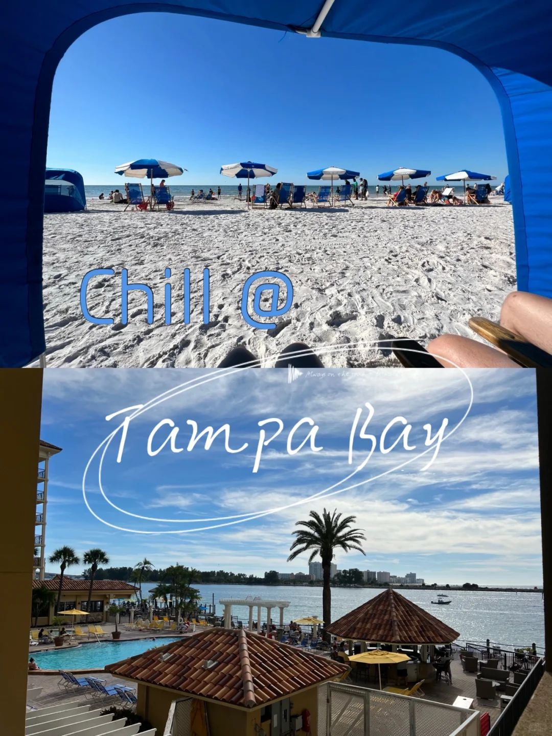 How to Explore Tampa Bay: Insider's Guide to Local Hidden Gems