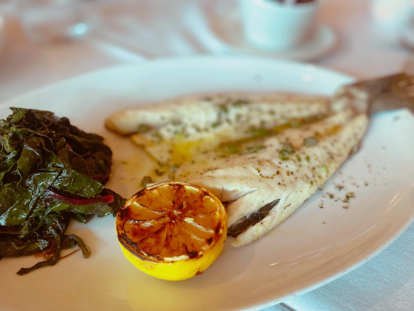 Miami's Must-Try Greek 🇬🇷 Eatery 🍴