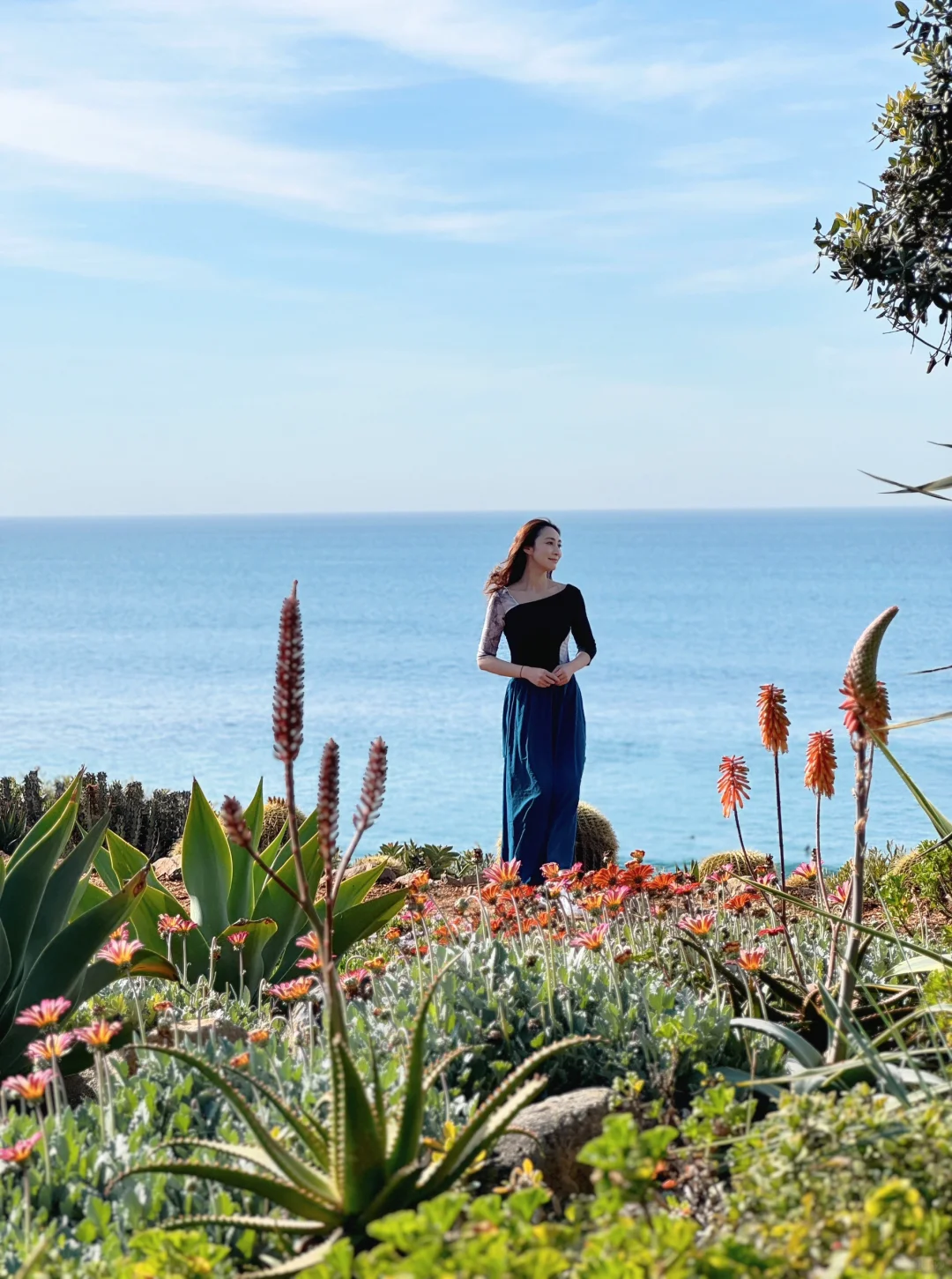 San Diego Seaside Garden | A Day of Healing Among Flowers and Greenery 🌿