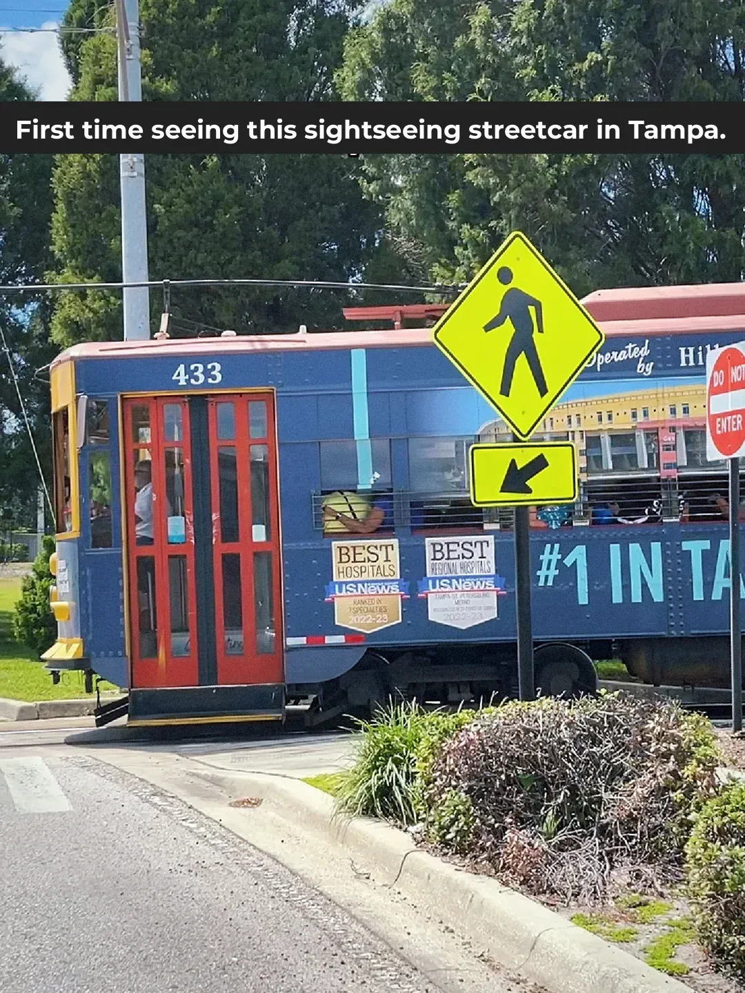 Unexpected Discovery Vlog Today｜Tampa Sightseeing Tram🚃