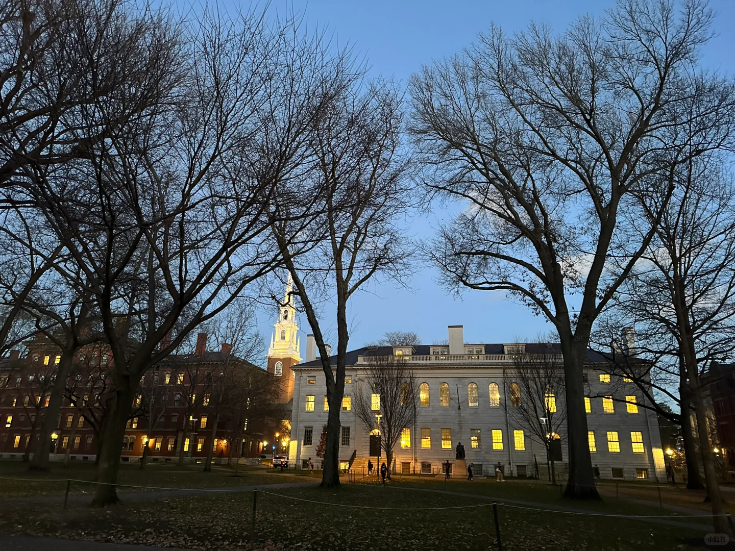 (Scenery & Cuisine) Night Views and Harvard Poké Bowl