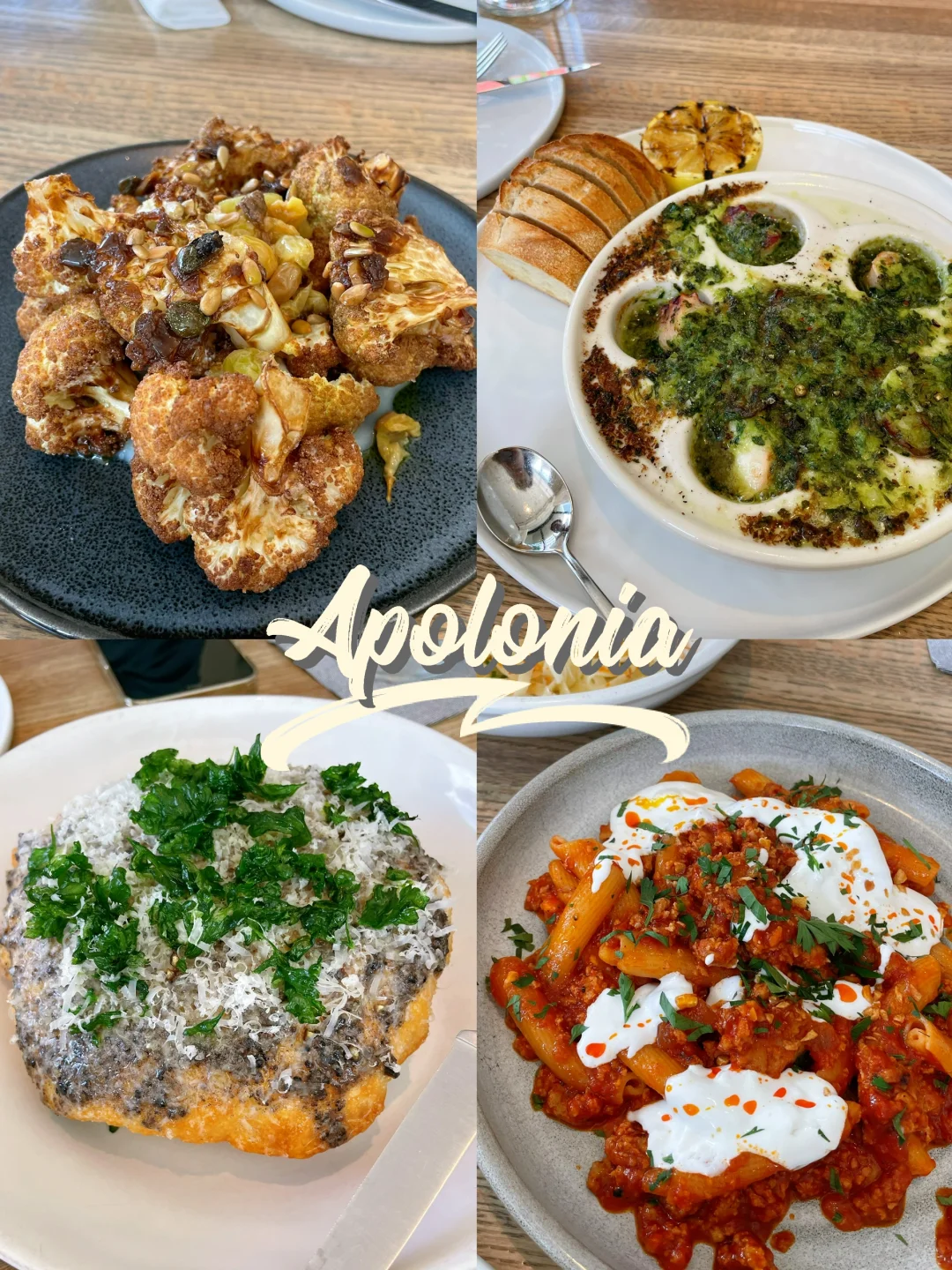 The Most Exquisite Mediterranean Cuisine in Chicago: Apolonia 🐠