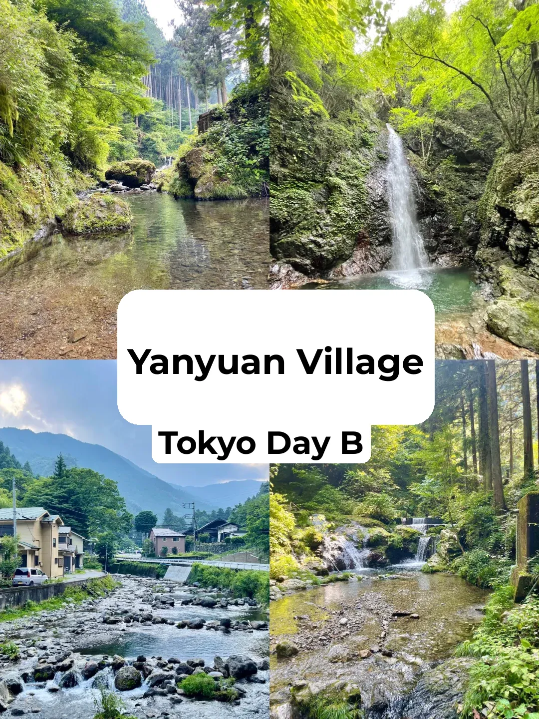 Tokyo | Weekend Day Trip to the Forest Village Oxygen Bar!