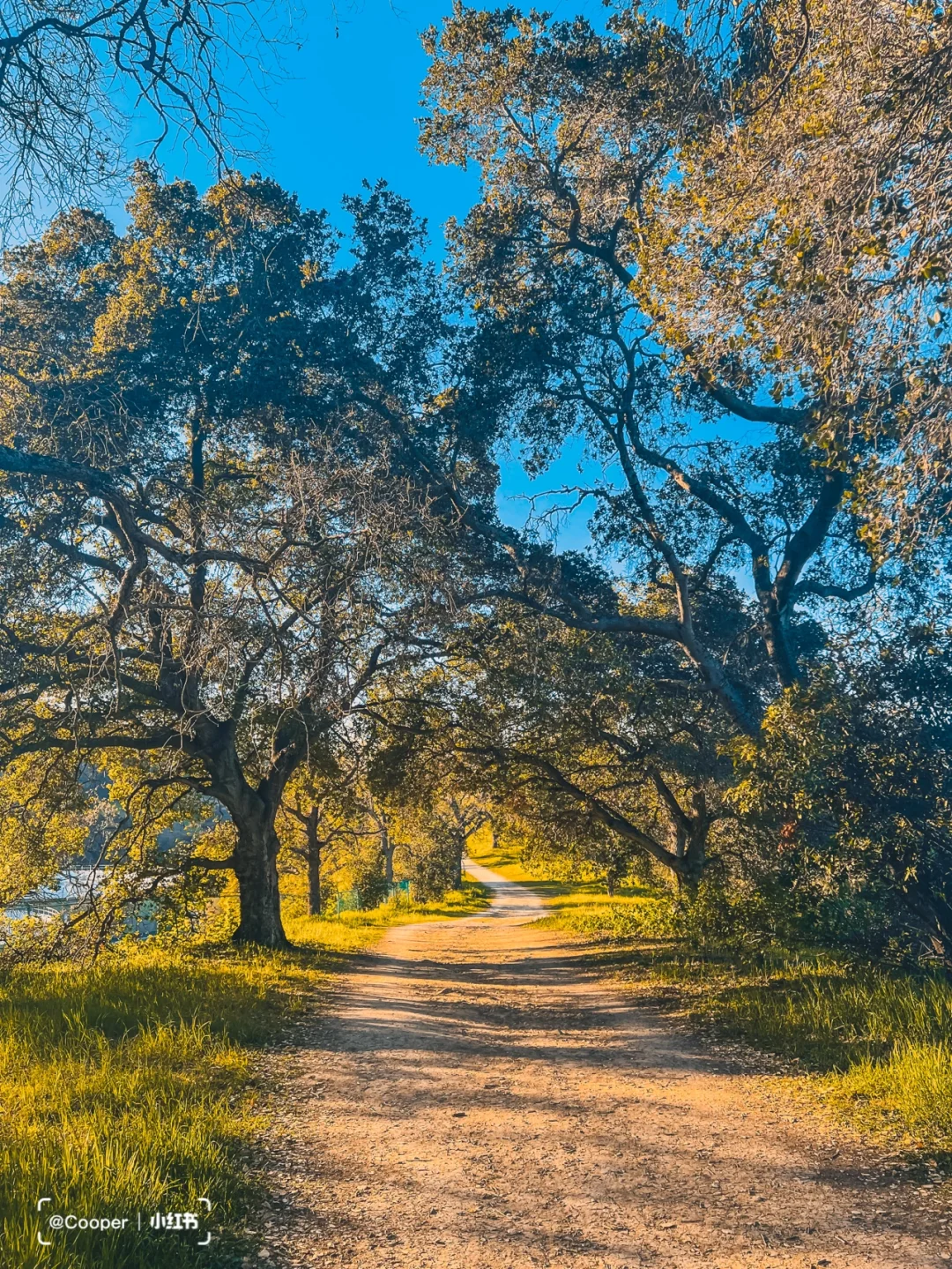 Bay Area Weekend Getaway | Hidden Hiking Gem in the Upscale Neighborhood 🌟