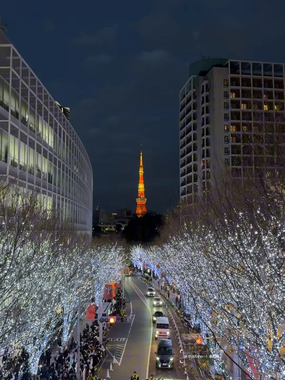 "After 2 Hours, I Captured the Christmas Scene Straight Out of a Japanese Drama 🎄"