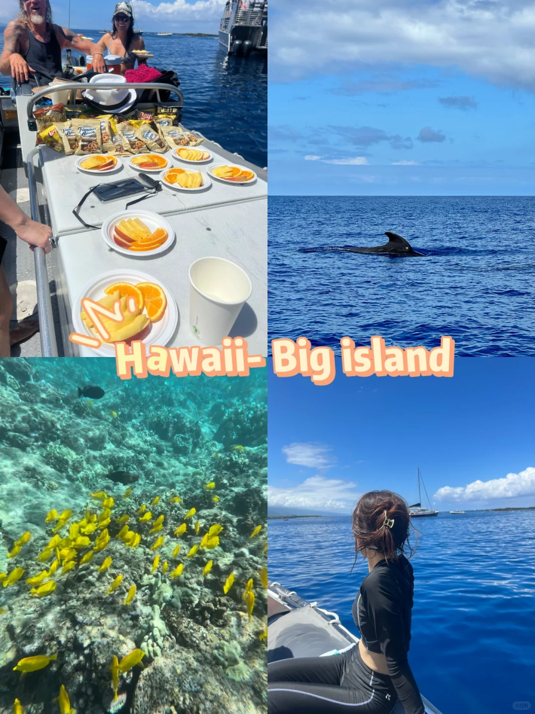 Second Time in Hawaii | Ocean Adventures Edition 🐠 | Big Island
