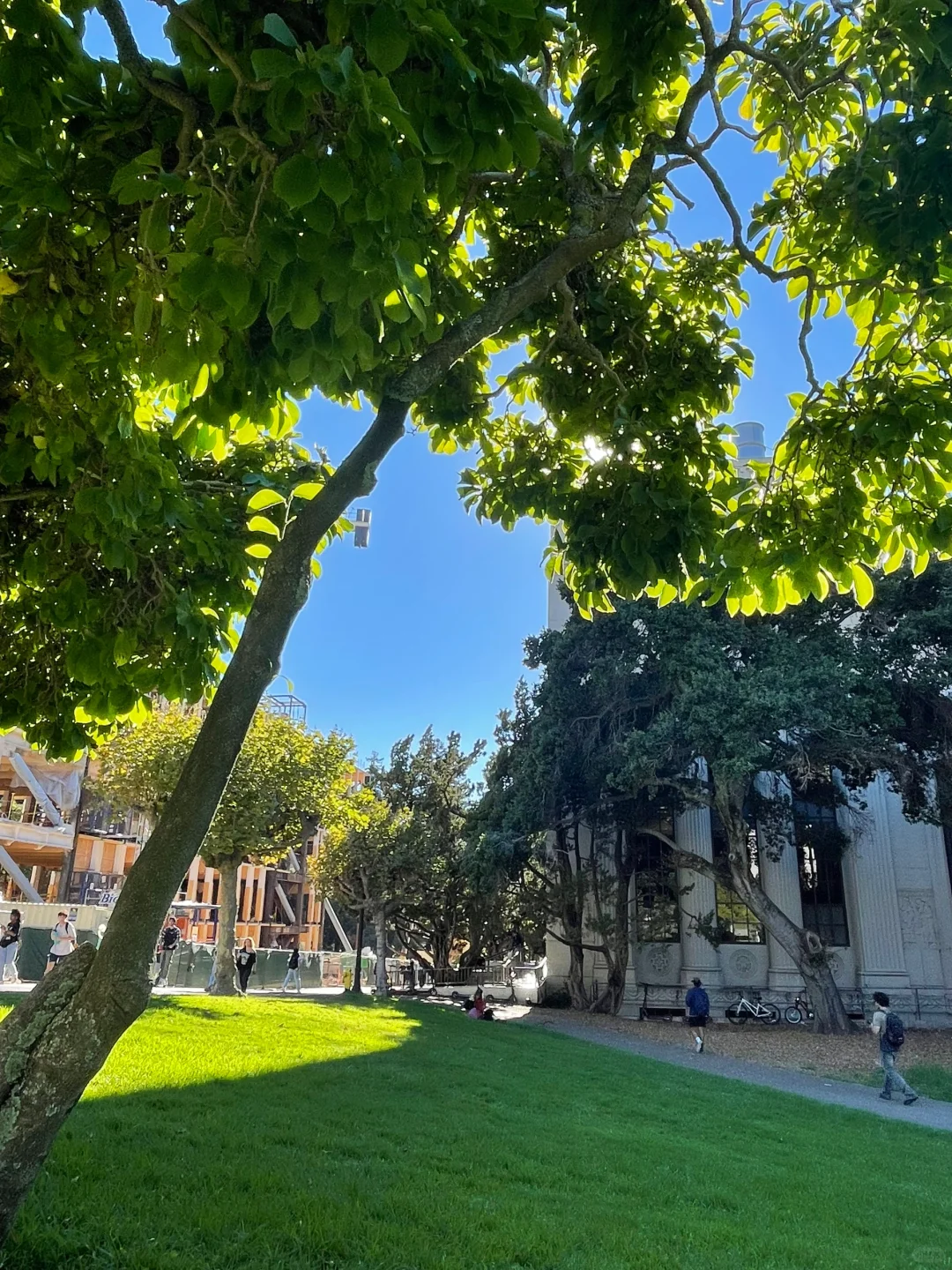 Looking for a San Francisco buddy for tomorrow (Sunday, 9/8) in Berkeley!